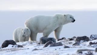 Mixbestofthebest 2016 B Roll Edit 90 Final H264