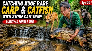Eps001 Catching Huge Rare Carp & Catfish with Stone Dam Trap with Loyal Dogs | Survival Forest Life News