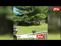 اجري يلا اجري يلا