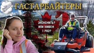 Работа мигрантов 🇷🇺🇺🇦 в КАНАДЕ. Большие расходы