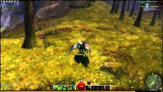 Guild Wars 2 Norn Necromancer Combat: GW2 Beta