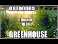 🌲OUTDOOR goes 🏠INDOORS to finish - Oct.10.2024