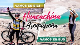 Oasis La joya: ¿Cómo llegar en transporte público🚗? ¿Cómo llegar en Bici🚲? | En Ruta AQP