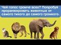 Чей голос громче всех? Попробуй проранжировать животных от самого тихого до самого громкого.