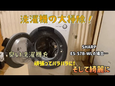 SHARP ES-S7C-WR 2018年製　ドラム式洗濯機　分解洗浄 2018年製：シャープ:ドラム式洗濯機:ES-S7C：ダクトからこんもり