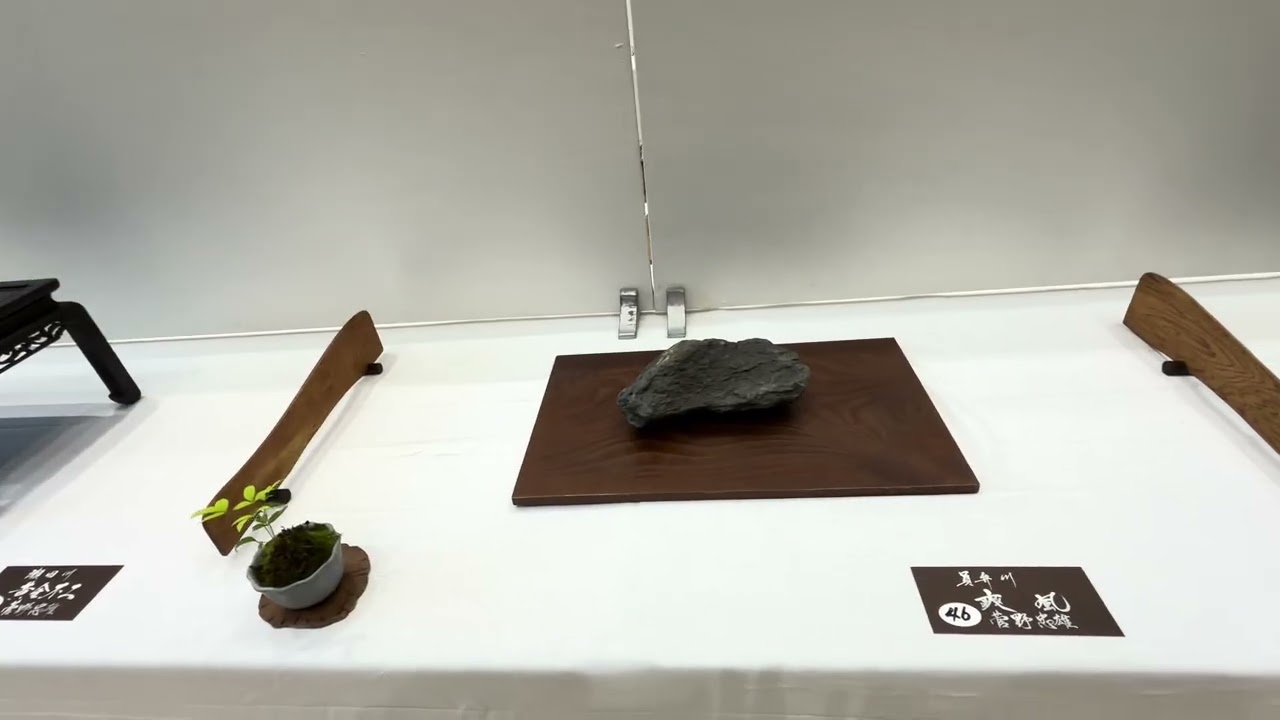 石睦会 第111回 奉納水石名品展 - YouTube