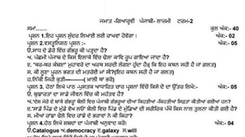 Solution Of Most Important Sample Paper General Punjabi Term 2 #class 11 🔥Don