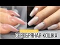 Серебряная кошка// Поднимаем клюющие ногти