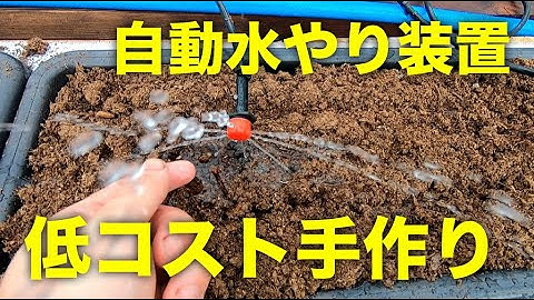 【自動潅水】農業用の自動水やり装置の作り方！イチゴやトマト栽培、家庭菜園に使えます