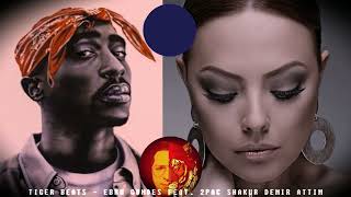 TİGER BEATS - EBRU GÜNDEŞ FEAT.  [ 2PAC SHAKUR ] DEMİR ATTIM REMİX Resimi