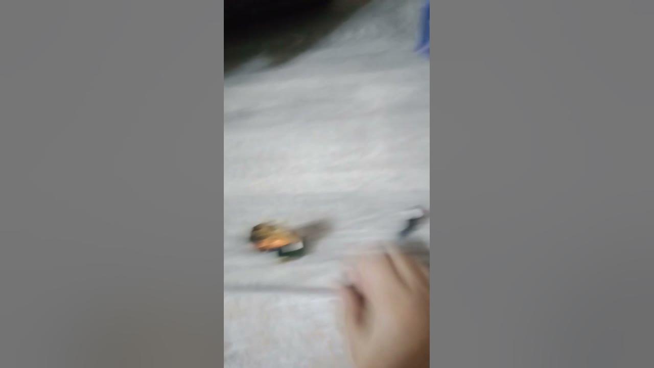 поод - YouTube