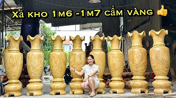 Xả kho .. báo giá lục bình Cẩm vàng cao 1m6 ,1m7 |Đồ gỗ Phạm Kính 0338.528.529 