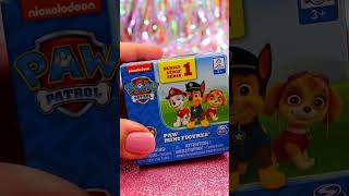 ASMR Blind box Unboxing❤️ #shorts #asmr #viral #pawpatrol #dog #puppy #fyp #explore #cute #trending