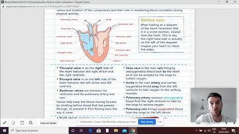 EDEXCEL GCSE PE REVISION cardiovascular system 2