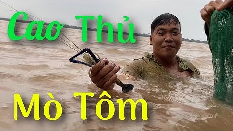 Mò Tôm Càng Xanh Về Luộc Nước Dừa Ngon Ngất Ngây #37• Cù Lao Dung Vlogs