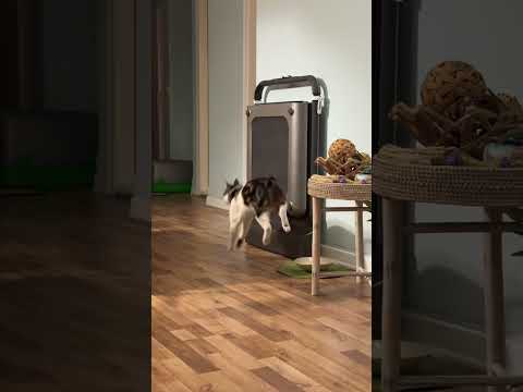 She Calls It Love I Call It Service