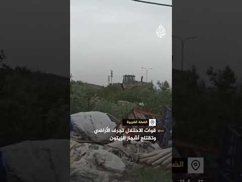 قوات الاحتلال تجرف الأراضي وتقتلع أشجار الزيتون في الضفة الغربية