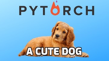 How to build custom Datasets for Text in Pytorch