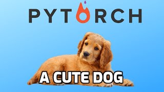 How to build custom Datasets for Text in Pytorch