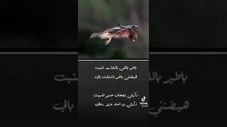 ياطير_يالي_بالتغريد_غنيت