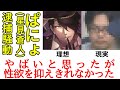 【ゆっくり解説】ぱにょ(星見蒼人)逮捕騒動