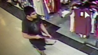 Manhunt for Washington mall shooter underway
