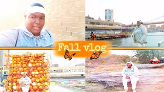 Vlog (fall pictures) #fall #picture  #vlog #photo