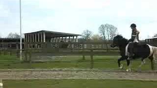 Marion Und Skjóna 1