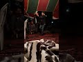 Hayt L3arbi L3aliwi العربي العليوي 