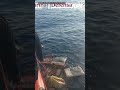 Mexico Navy Seizes Over Two Tonnes Of Cocaine Floating At Sea In Major Bust | APT