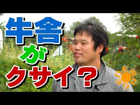 牛舎がクサイ?それは活性誘導水が切れたサイン