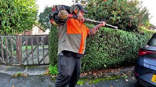 Trimming This  privet hedge with something in my way...