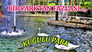 Ankaranın Romantik Parkı Kuğulunun Gizemleri