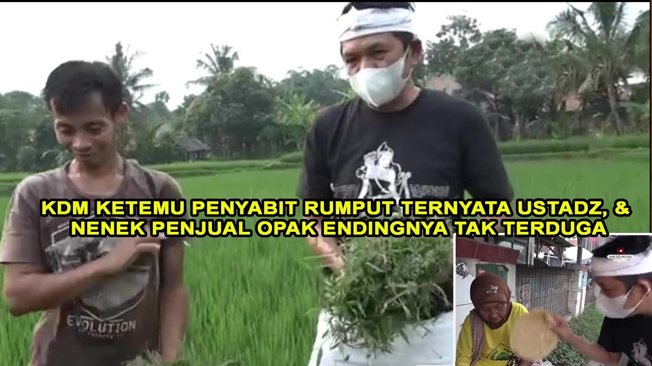 477. KDM KETEMU PENYABIT RUMPUT TERNYATA USTADZ, & NENEK PENJUAL OPAK ENDINGNYA TAK TERDUGA