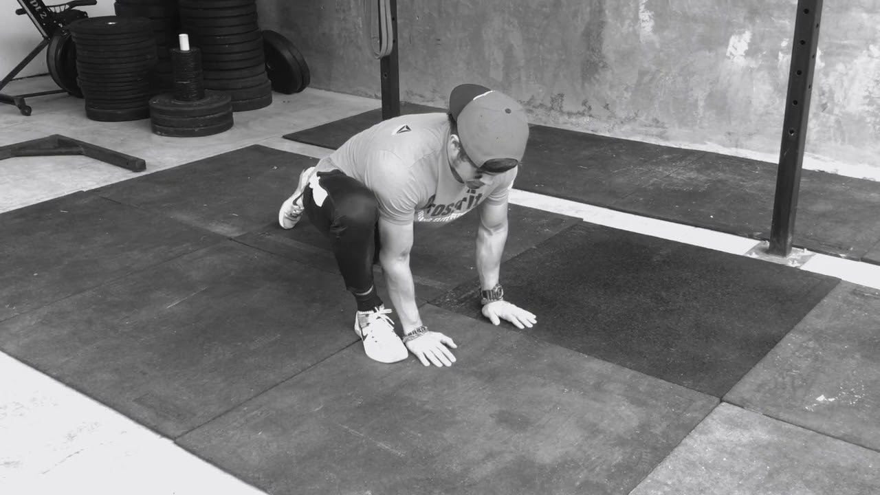 Extended Arm Lizard y variación camera iphone 8 plus apk