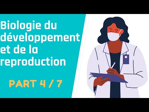 [ Cours PACES ] Biologie du développement et de la reproduction [ Part  4/7 ] | REUSSIR SA PACES