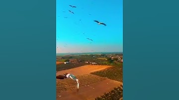 تلاوة   خاشعة   ومميزة      الشيخ عبدالله الجهني