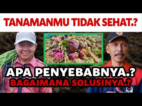 Video: Adakah penyakit merupakan faktor bebas kepadatan?