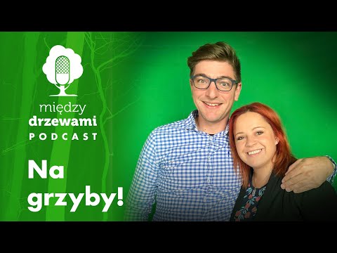 Między Drzewami #30 Na grzyby! | PODCAST