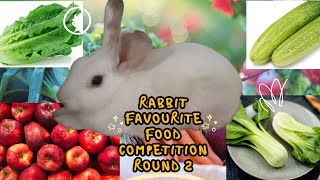 Springy Rabbit Favorite Food Competition Part 2