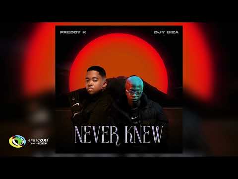 Freddy K And Djy Biza - Nomayini [Feat. Pcee, Justin99 And Vigro Deep] (Official Audio)