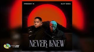 Freddy K and Djy Biza - Nomayini [Feat. Pcee, Justin99 and Vigro Deep]