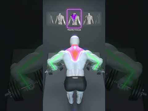 🔥 Train Your Back the Right Way with Just Dumbbells