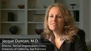 What is the Foundation Fighting Blindness and what is its role in driving research?