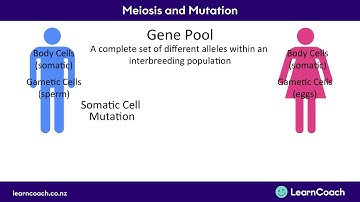 NCEA Biology L2 Genetic Variation: Meiosis and Mutation