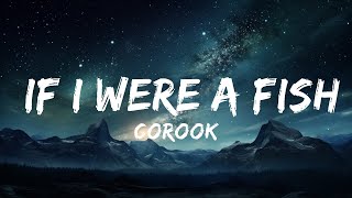 corook - If i were a fish (Lyrics) ft. Olivia Barton "if i were a fish and you caught me"  |  30 M
