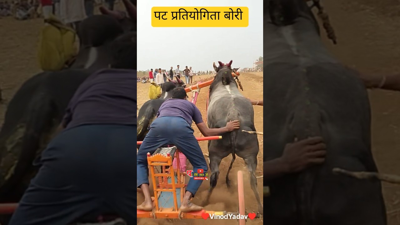 मथुर आणि मथुर ची जोरदार सुट्टी।पट प्रतियोगिता बोरी। 