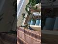 Budgies got wilder | Bird | parrot