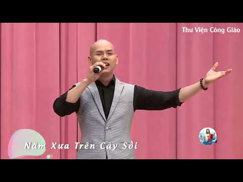 Video Năm Xưa Trên Cây Sồi | Ca sĩ Phan Đinh Tùng | Nhạc sĩ... - youtube