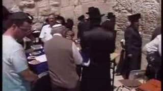 Independent Videojournalism La 2 De Tve